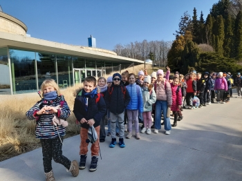 IMG_20260304_204709 (3)